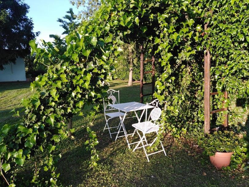 B&B Borgo Del Priolo - Petfriendly Cesena Dış mekan fotoğraf
