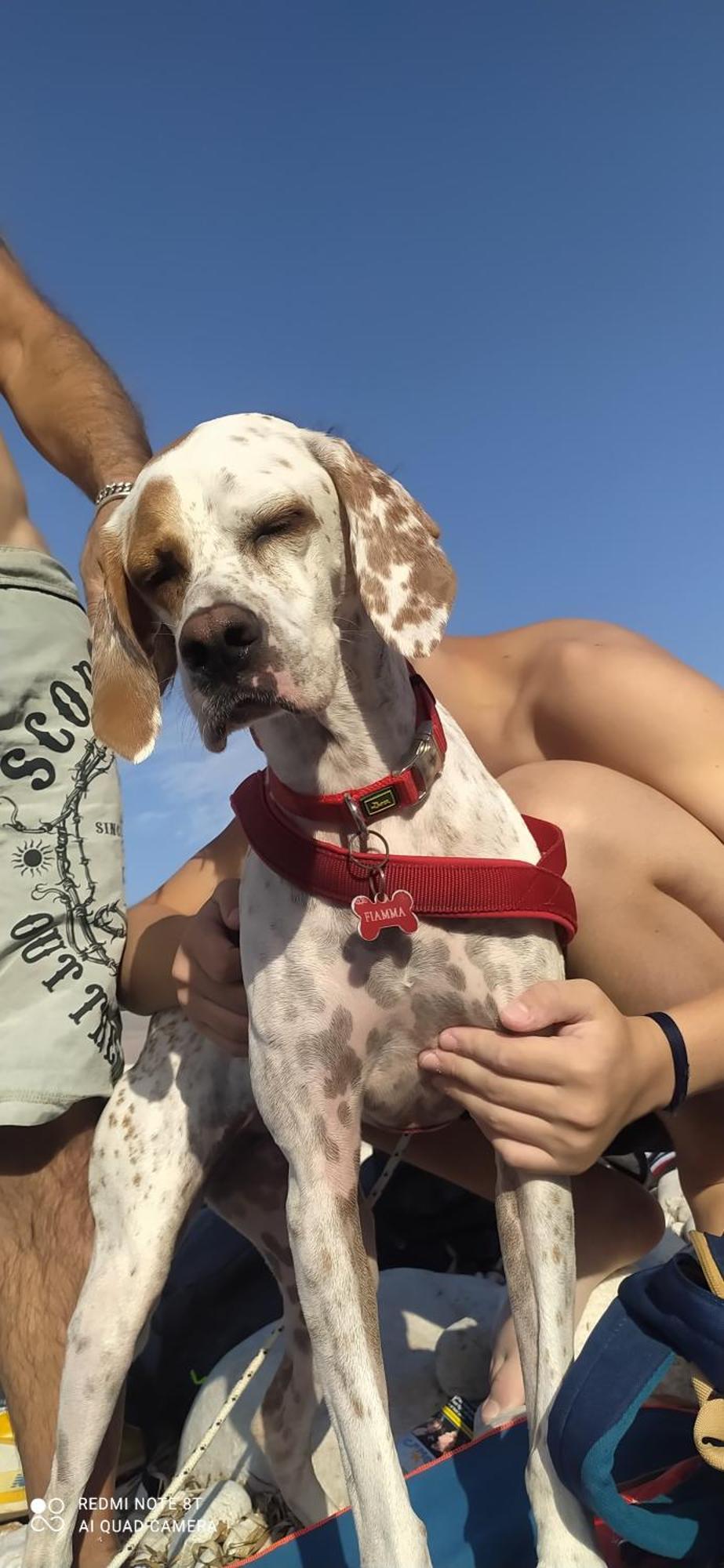 B&B Borgo Del Priolo - Petfriendly Cesena Dış mekan fotoğraf